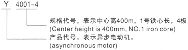 西安泰富西瑪Y系列(H400-500)380V低壓大功率三相異步電動機型號說明